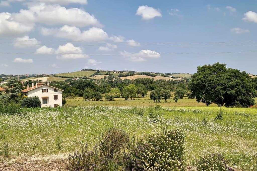 Villa Sant Isidoro Corinaldo Exterior foto